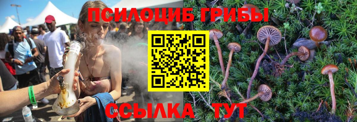Свободный  Псилоцибиновые грибы GOLDEN TEACHER  Вход с VPN 